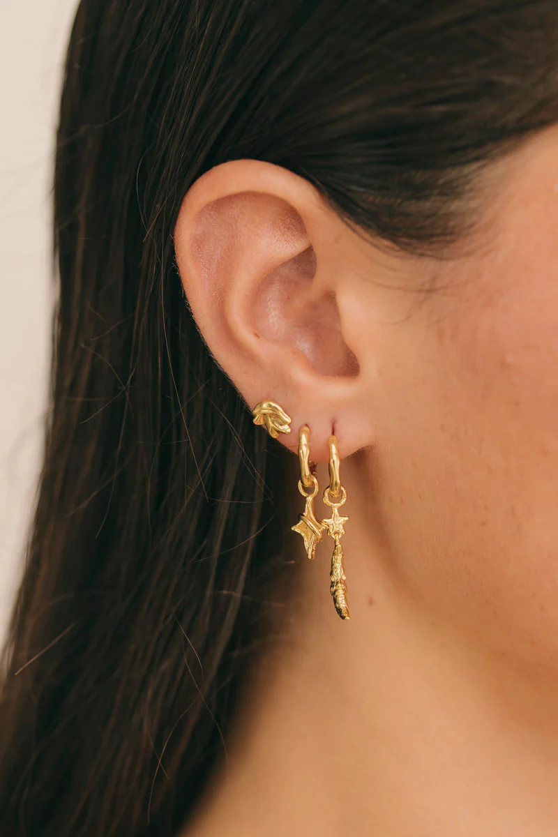 Moon & Star Earring Gold - Image 2