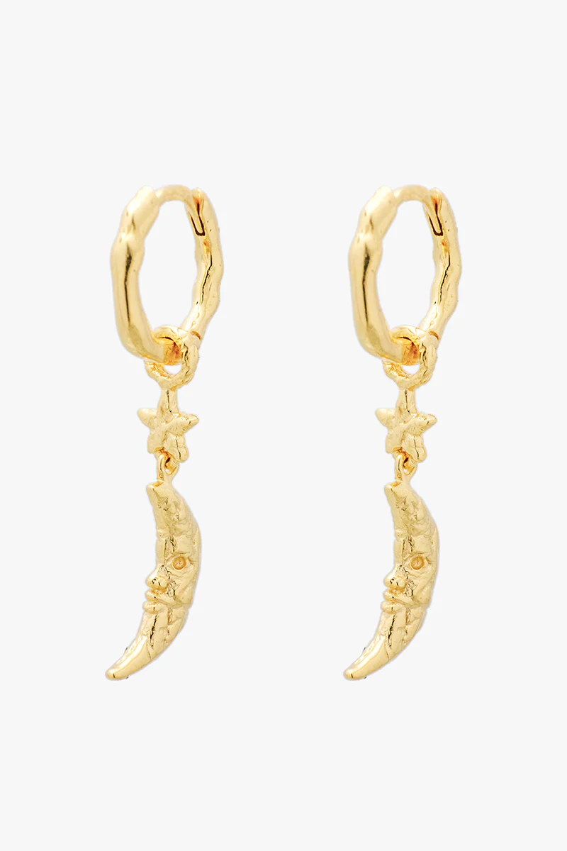 Moon & Star Earring Gold - Image 3