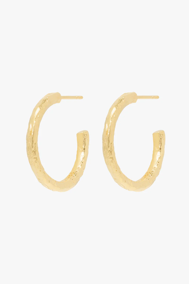 Wanderlust hammered hoop gold plated (24mm) - Image 9